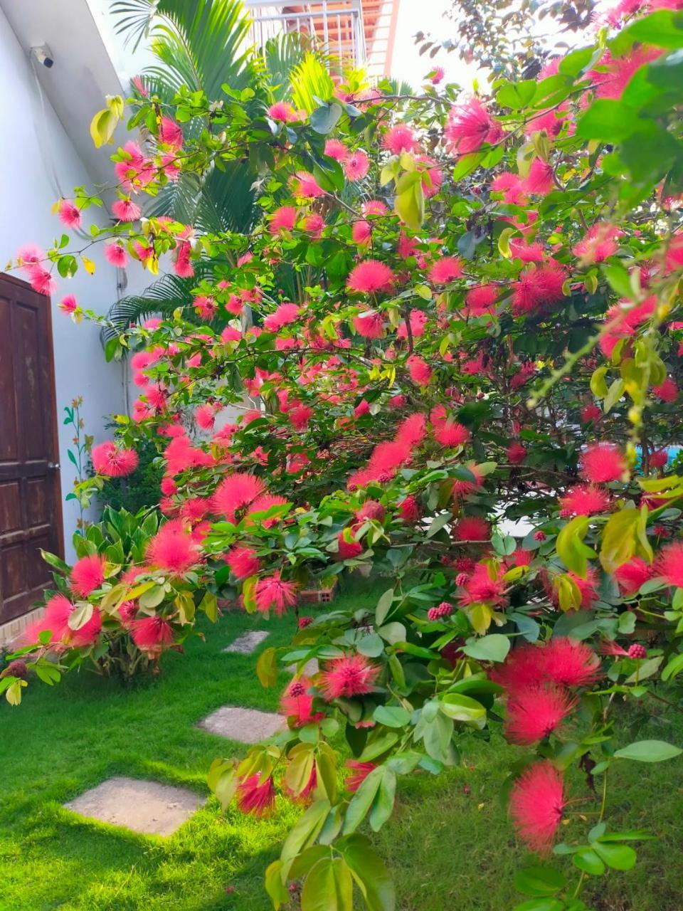 Serenity Garden Duong Dong Exterior foto